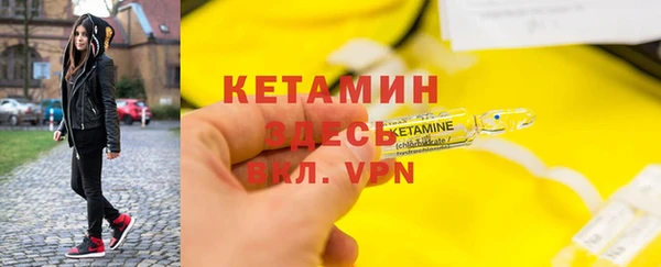 гашик Мегион