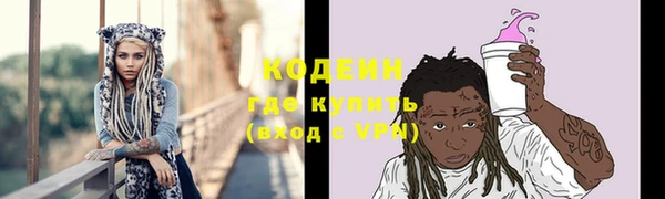 гашик Мегион