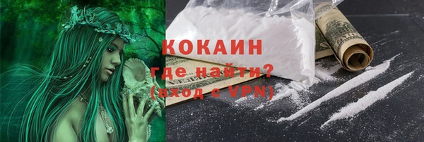 гашик Мегион