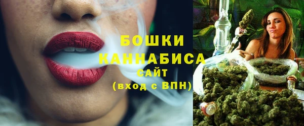 гашик Мегион
